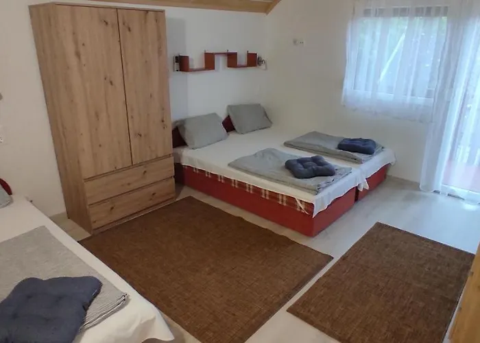 Timbi Vendeghaz פוניארצוושהג'